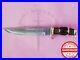 Nice-Stainless-D2-Bowie-Knife-With-brass-and-stag-horn-handle-01-heu