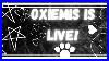 Oxiemis-Is-Live-Animal-Jam-Spike-Giveaway-Every-5-Subs-Road-To-500-Subs-01-vdda
