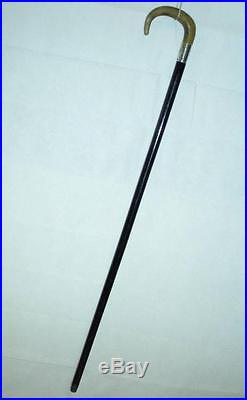 Presentation Waking Stick With A Bovine Horn Handle and Sterling Silver Collar