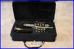 Professional Bb Piccolo Trumpet Brass 4 Valve with case