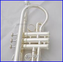 Professional Custom Series Eb Cornet Silver Horn Monel Valve With Case