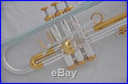 Professional Germany brass silver plated Bb Trumpet Horn Monel Valve with case