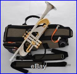 Professional Heavy Bb Trumpet horn Brushed Silver Germany Brass With Case