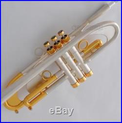 Professional Heavy Bb Trumpet horn Brushed Silver Germany Brass With Case