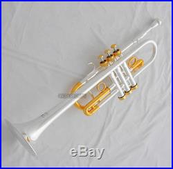 Professional Heavy C Keys Trumpet Silver/Gold Plated Horn Monel Valves With Case