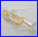 Professional-New-Silver-Gold-Plated-Trumpet-Bb-Horn-Monel-valves-With-Case-01-ts