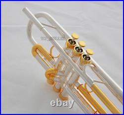 Professional New Silver Gold Plated Trumpet Bb Horn Monel valves With Case