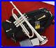 Professional-Shiny-silver-plating-Trumpet-WTR-850-Bb-Horn-With-Pro-case-01-hix
