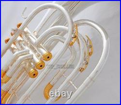 Professional Silver Gold Plated Marching French horn Bb Monel Valves With Case