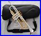 Professional-Silver-Gold-Plated-Trumpet-B-Flat-horn-With-Monel-valves-Hard-Case-01-bz