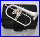 Professional-Silver-Plated-Flugelhorn-Monel-Valves-New-Water-key-Horn-With-Case-01-tn