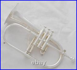 Professional Silver Plated Flugelhorn Monel Valves New Water key Horn With Case