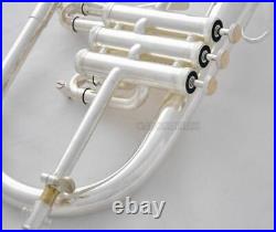 Professional Silver Plated Flugelhorn Monel Valves New Water key Horn With Case