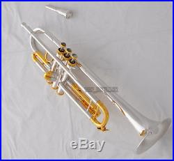Professional Silver Plated new Trumpet Horn Monel Valves 0.459 Bore With Case