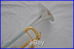 Professional Silver plated Bb key Trumpet horn Germany brass body with case