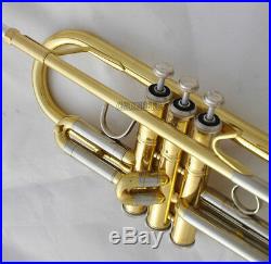 Professional TaiShan Trumpet Horn Gold Lacquer Finish Monel Valve With Case