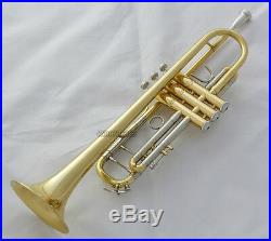 Professional TaiShan Trumpet Horn Gold Lacquer Finish Monel Valve With Case