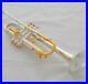 Professional-new-Bb-Trumpet-Silver-Gold-Plated-Horn-3-Monel-Valves-With-Case-01-ojfg