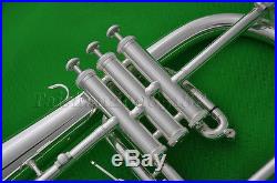 Professionl new Flugelhorn Silver Flugel Horn Monel Valve Ablone key with Case