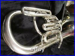 Rossetti Charcheta Mexican Silver Tone Horn with Case