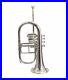SALE-SAI-New-Silver-Bb-4-Valve-Flugel-Horn-With-Free-Hard-Case-Mouthpiece-01-hd