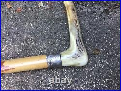 Silver Collared Thick Hunting Crop 28in Long With Horn Handle