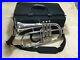 Silver-Plated-Flugelhorn-Horn-With-Case-And-Mouth-Piece-FREE-SHIP-01-qhdg