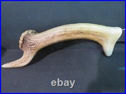 Stag Horn Handle Knife Sheath With Sheath 15 3/4