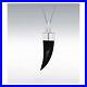 Sterling-Silver-Onyx-Horn-Pendant-01-ws