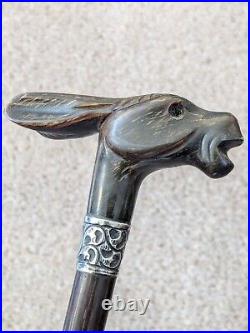 Stunning Antique Rabbit Horn Carved Walking Cane With Silver Collar London C1905