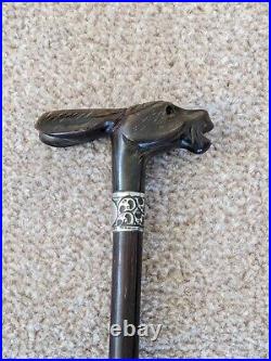 Stunning Antique Rabbit Horn Carved Walking Cane With Silver Collar London C1905