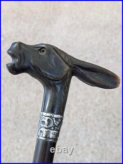 Stunning Antique Rabbit Horn Carved Walking Cane With Silver Collar London C1905