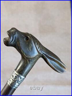 Stunning Antique Rabbit Horn Carved Walking Cane With Silver Collar London C1905