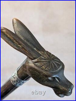 Stunning Antique Rabbit Horn Carved Walking Cane With Silver Collar London C1905