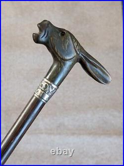 Stunning Antique Rabbit Horn Carved Walking Cane With Silver Collar London C1905