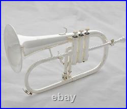 USA WEIBSTER Silver plated Bb flugelhorn Monel valve brand new horn with case