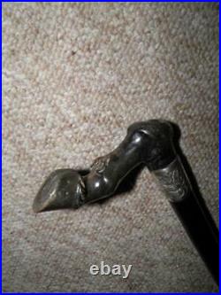 Victorian Bovine Horn Horse Leg/Hoof Walking Stick/Cane Hallmarked Silver 1899
