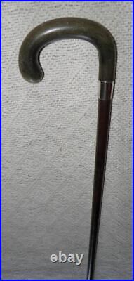 Victorian Snakewood Walking Stick / Cane Silver Collar Bovine Horn Crook Handle