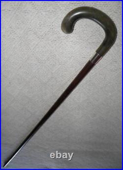 Victorian Snakewood Walking Stick / Cane Silver Collar Bovine Horn Crook Handle