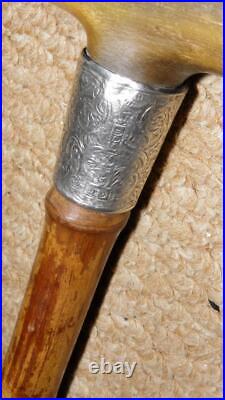 Victorian Walking Stick Bovine Horn Handle & Hallmarked 1883 Silver Collar