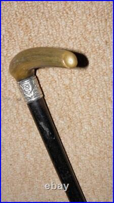 Victorian Walking Stick Bovine Horn Handle & Hallmarked 1894 Floral Silver
