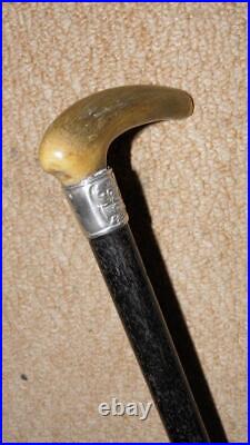 Victorian Walking Stick Bovine Horn Handle & Hallmarked 1894 Floral Silver