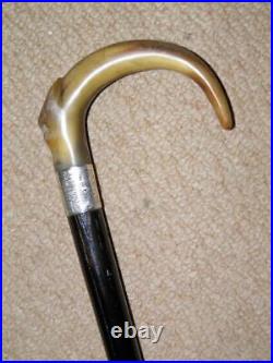 Victorian Walking Stick / Cane Bovine Horn Crook Handle & Hallmarked 1881 Silver