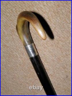 Victorian Walking Stick / Cane Bovine Horn Crook Handle & Hallmarked 1881 Silver