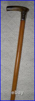 Victorian Walking Stick / Cane Hallmarked 1890 Silver Collar Bovine Horn Handle