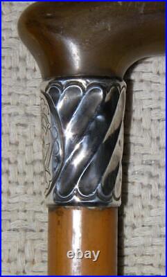 Victorian Walking Stick / Cane Hallmarked 1890 Silver Collar Bovine Horn Handle