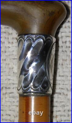 Victorian Walking Stick / Cane Hallmarked 1890 Silver Collar Bovine Horn Handle