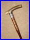 Victorian-Walking-Stick-Cane-With-Bovine-Horn-Fritz-H-m-Silver-1901-Collar-89cm-01-or