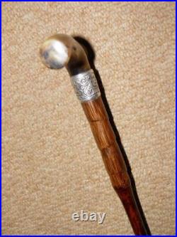 Victorian Walking Stick/Cane With Bovine Horn Fritz & H/m Silver 1901 Collar- 89cm