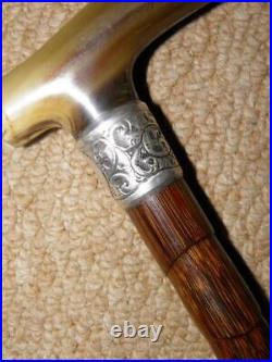 Victorian Walking Stick/Cane With Bovine Horn Fritz & H/m Silver 1901 Collar- 89cm